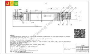 couronne d'orientation (roulement) pour pelle hitachi EX450
